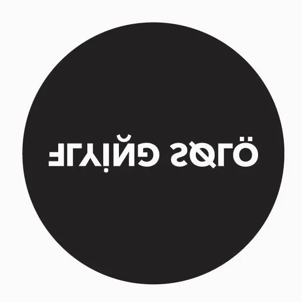 Flying Solo logo