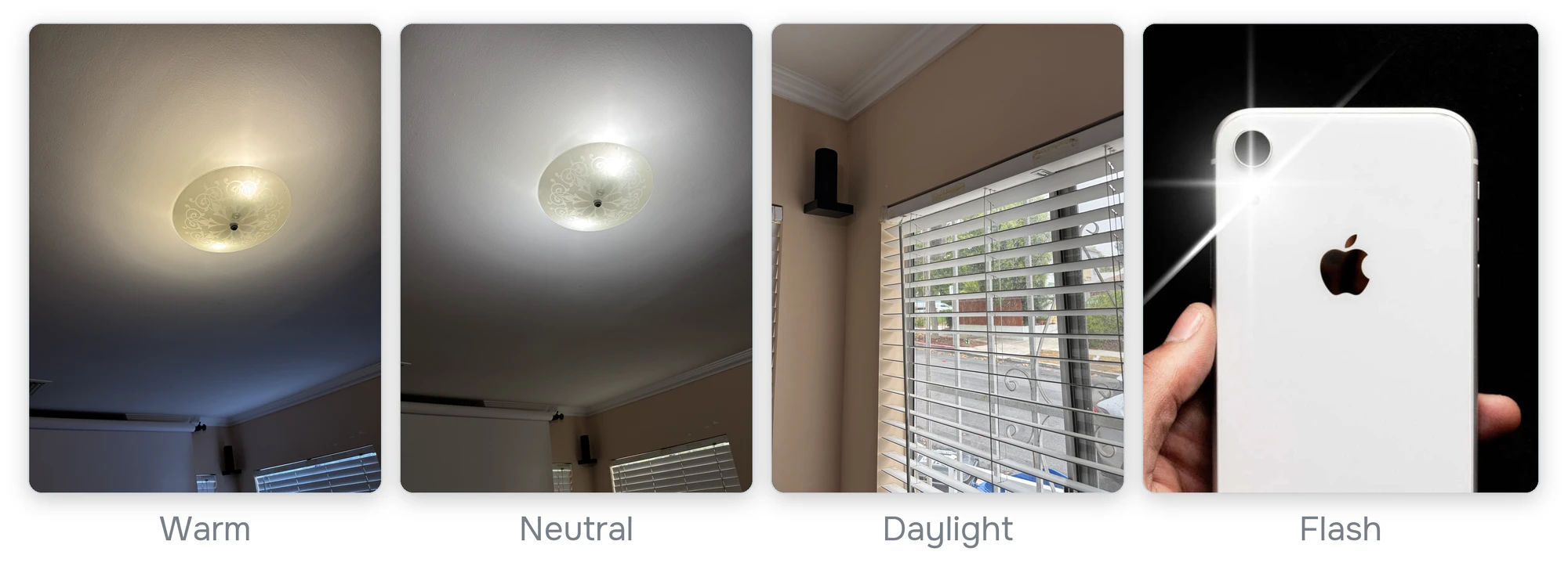 The four lights: a warm ceiling light, a neutral ceiling light, daylight through window blinds and a phone's flash
