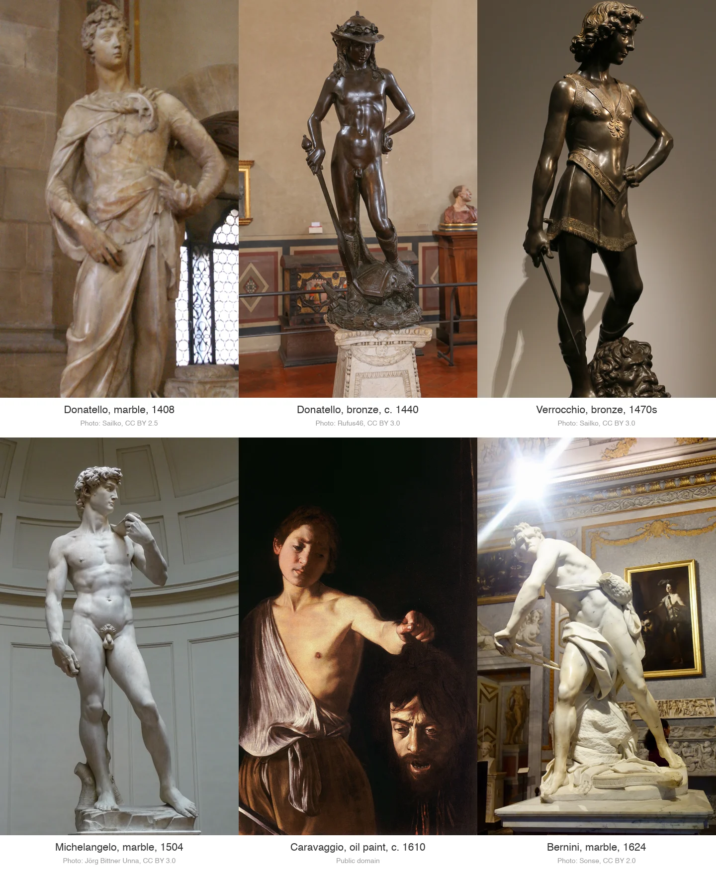 Six Davids: Donatello in marble and in bronze, Verrocchio, Michelangelo, Bernini and Caravaggio